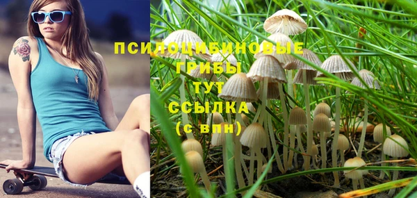 твердый Елабуга