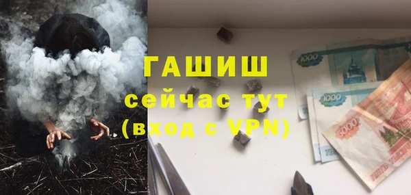 2c-b Ельня