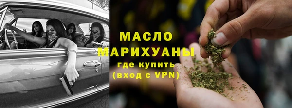 2c-b Ельня