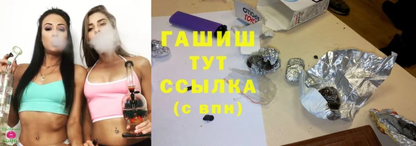 2c-b Ельня