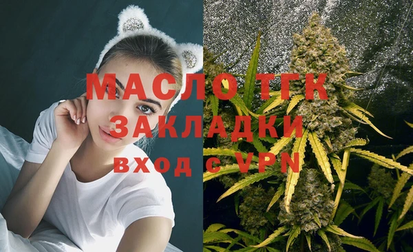 твердый Елабуга
