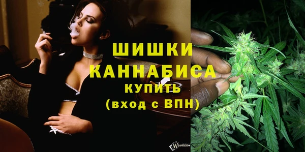 твердый Елабуга